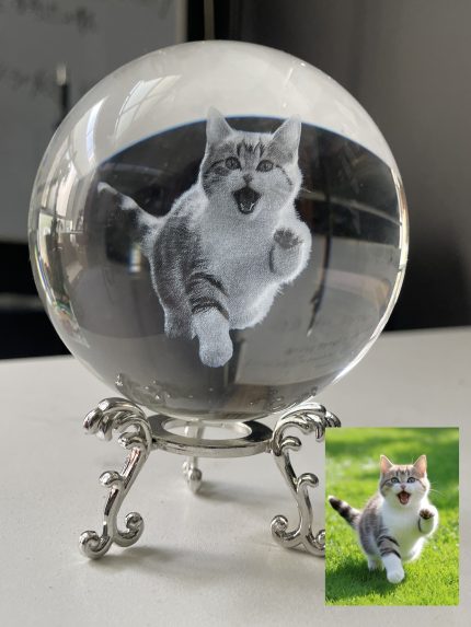 （39）Crystal Ball Pet Customization Permanent Preservation Ideas